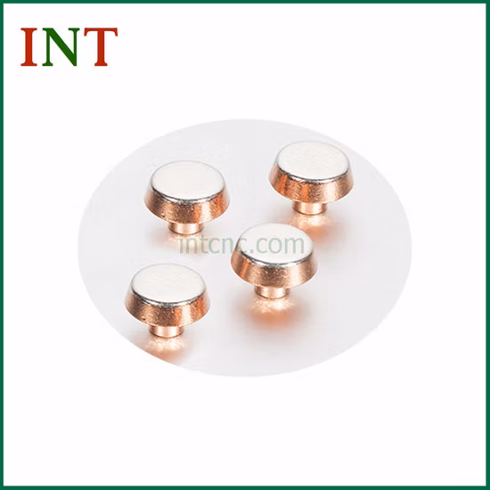 Rivetti per contatti elettrici in argento per protezione dalle perdite