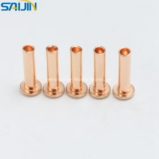 Presa per interruttore su misura approvata ISO RoHS, rivetti di contatto in rame e ottone elettrico semitubolari